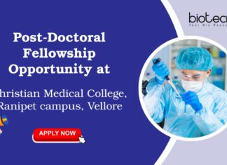 Post-Doctoral Fellowship Opportunity at Christian Medical College, Ranipet campus, Vellore