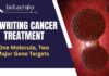 RNA Cancer Therapy