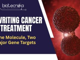 RNA Cancer Therapy