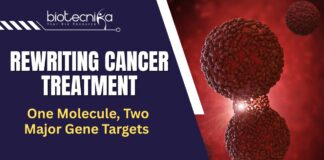 RNA Cancer Therapy