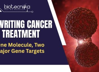 RNA Cancer Therapy