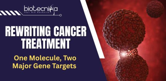 RNA Cancer Therapy