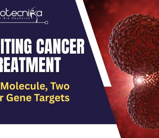 RNA Cancer Therapy