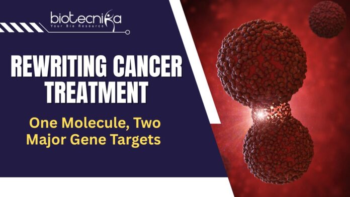RNA Cancer Therapy