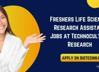 Freshers BSc & MSc Molecular Biology Jobs