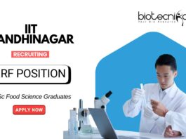 Food Science Research Jobs at IIT Gandhinagar | MSc Graduates Apply for the JRF Position