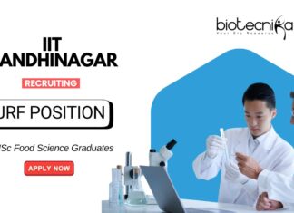 Food Science Research Jobs at IIT Gandhinagar | MSc Graduates Apply for the JRF Position