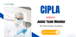 Cipla Vacancies for MSc Microbiology | Apply Now for Junior Team Member Position