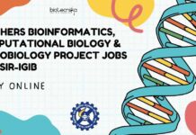 Freshers MSc Bioinformatics Job Vacancies
