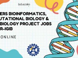 Freshers MSc Bioinformatics Job Vacancies