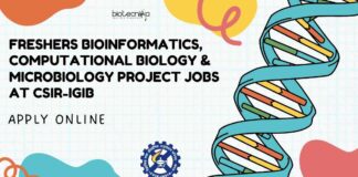 Freshers MSc Bioinformatics Job Vacancies