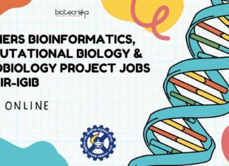 Freshers MSc Bioinformatics Job Vacancies
