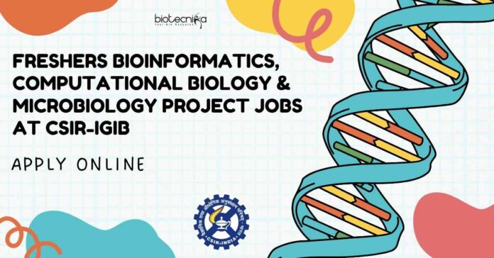 Freshers MSc Bioinformatics Job Vacancies