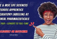 MSc Life Sciences Freshers Jobs at Amneal Pharmaceuticals