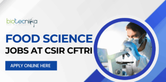 Food Science Job at CSIR CFTRI - PhD Recruitment 2025 (1)