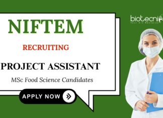 Food Technology Jobs at NIFTEM Apply now for Project Assistant Position 