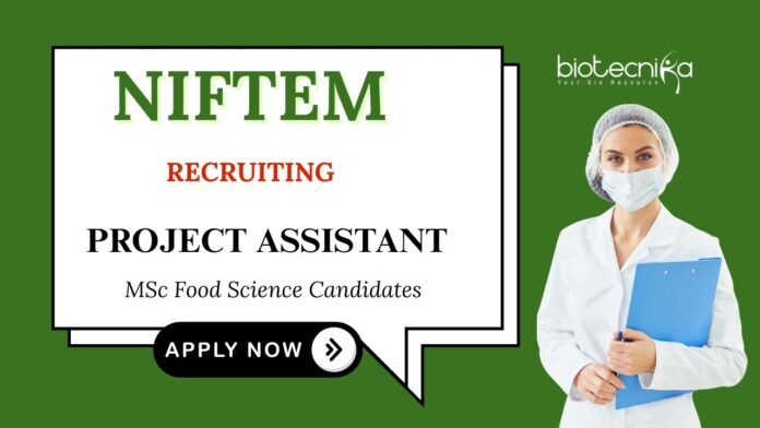 Food Technology Jobs at NIFTEM Apply now for Project Assistant Position 