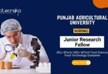 Food Technology Research Jobs at Punjab Agricultural University Apply Now for the JRF Position