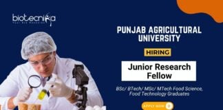 Food Technology Research Jobs at Punjab Agricultural University Apply Now for the JRF Position