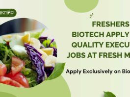BSc Biotechnology Freshers Jobs
