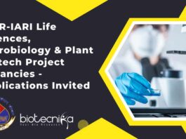 Plant Biotechnology Job Openings at ICAR-IARI