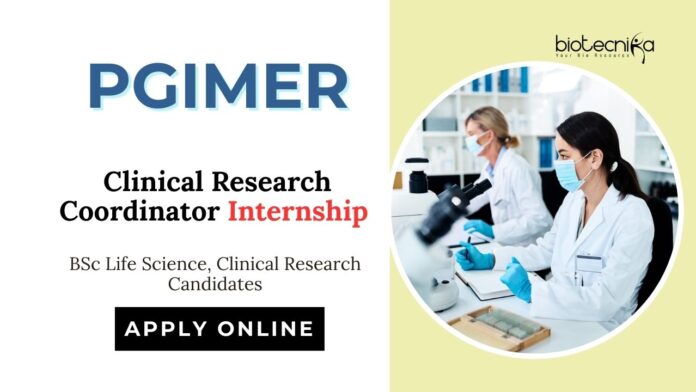 Internship Opportunities at PGIMER | Apply Now for Clinical Research Coordinator Role