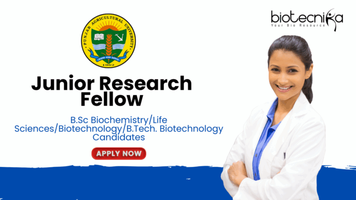 JRF Position for Life Science Graduates - Apply Now at Punjab Agricultural University