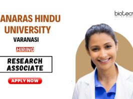 Research Associate Position at Banaras Hindu University | PhD Graduates Apply Online
