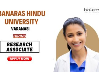 Research Associate Position at Banaras Hindu University | PhD Graduates Apply Online