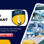 Latest BSc/ MSc Biotechnology Jobs at Amity l Apply Now for Lab Assistant Role
