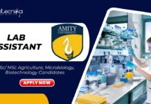 Latest BSc/ MSc Biotechnology Jobs at Amity l Apply Now for Lab Assistant Role