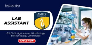 Latest BSc/ MSc Biotechnology Jobs at Amity l Apply Now for Lab Assistant Role
