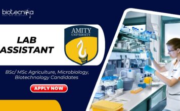 Latest BSc/ MSc Biotechnology Jobs at Amity l Apply Now for Lab Assistant Role