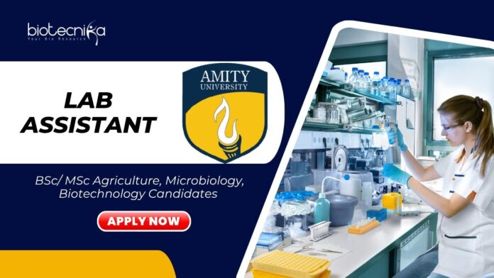 Latest BSc/ MSc Biotechnology Jobs at Amity l Apply Now for Lab Assistant Role