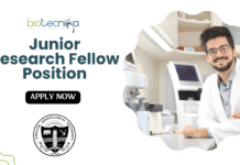 Junior Research Fellow Position at Punjab Agricultural University | Apply Now