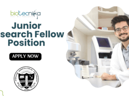 Junior Research Fellow Position at Punjab Agricultural University | Apply Now