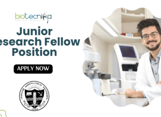 Junior Research Fellow Position at Punjab Agricultural University | Apply Now