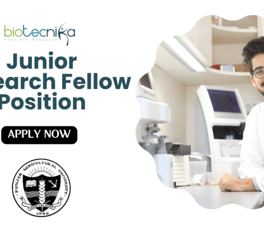 Junior Research Fellow Position at Punjab Agricultural University | Apply Now