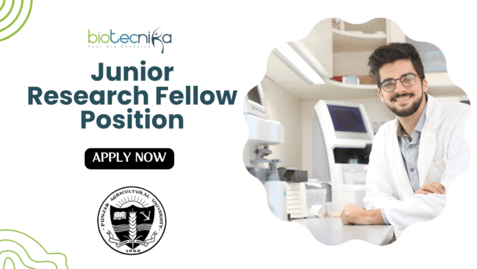 Junior Research Fellow Position at Punjab Agricultural University | Apply Now