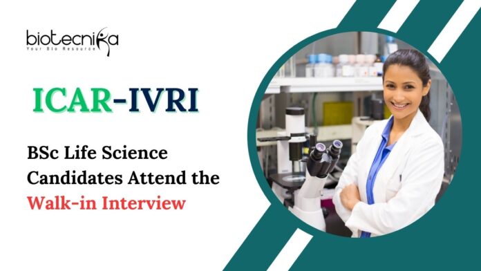 Latest Biological Science Jobs at ICAR-IVRI | Attend the Walk-in Interview