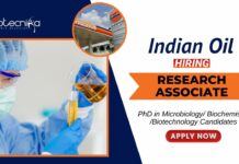 Latest Job at IndianOil R&D Centre PhD Biotechnology Candidates Apply Now for the Research Associate Position (1)