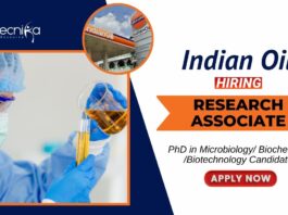 Latest Job at IndianOil R&D Centre PhD Biotechnology Candidates Apply Now for the Research Associate Position (1)