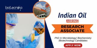 Latest Job at IndianOil R&D Centre PhD Biotechnology Candidates Apply Now for the Research Associate Position (1)