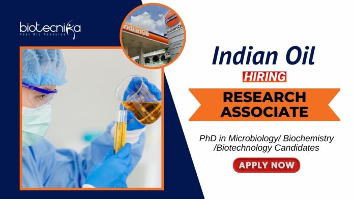 Latest Job at IndianOil R&D Centre PhD Biotechnology Candidates Apply Now for the Research Associate Position (1)