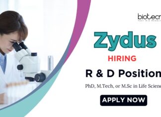 Latest Life Science Jobs at Zydus | Apply Now for the R&D Position