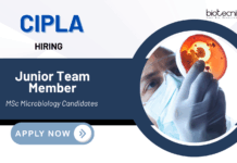 Latest QA or QC Jobs at Cipla | MSc Microbiology Candidates Apply Now 
