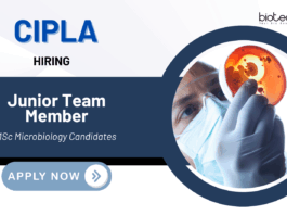 Latest QA or QC Jobs at Cipla | MSc Microbiology Candidates Apply Now 