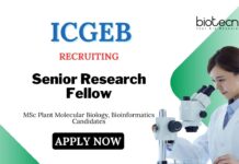MSc Bioinformatics Jobs at ICGEB Delhi | Apply Now for Senior Research Fellow Position