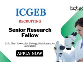 MSc Bioinformatics Jobs at ICGEB Delhi | Apply Now for Senior Research Fellow Position