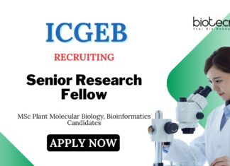 MSc Bioinformatics Jobs at ICGEB Delhi | Apply Now for Senior Research Fellow Position